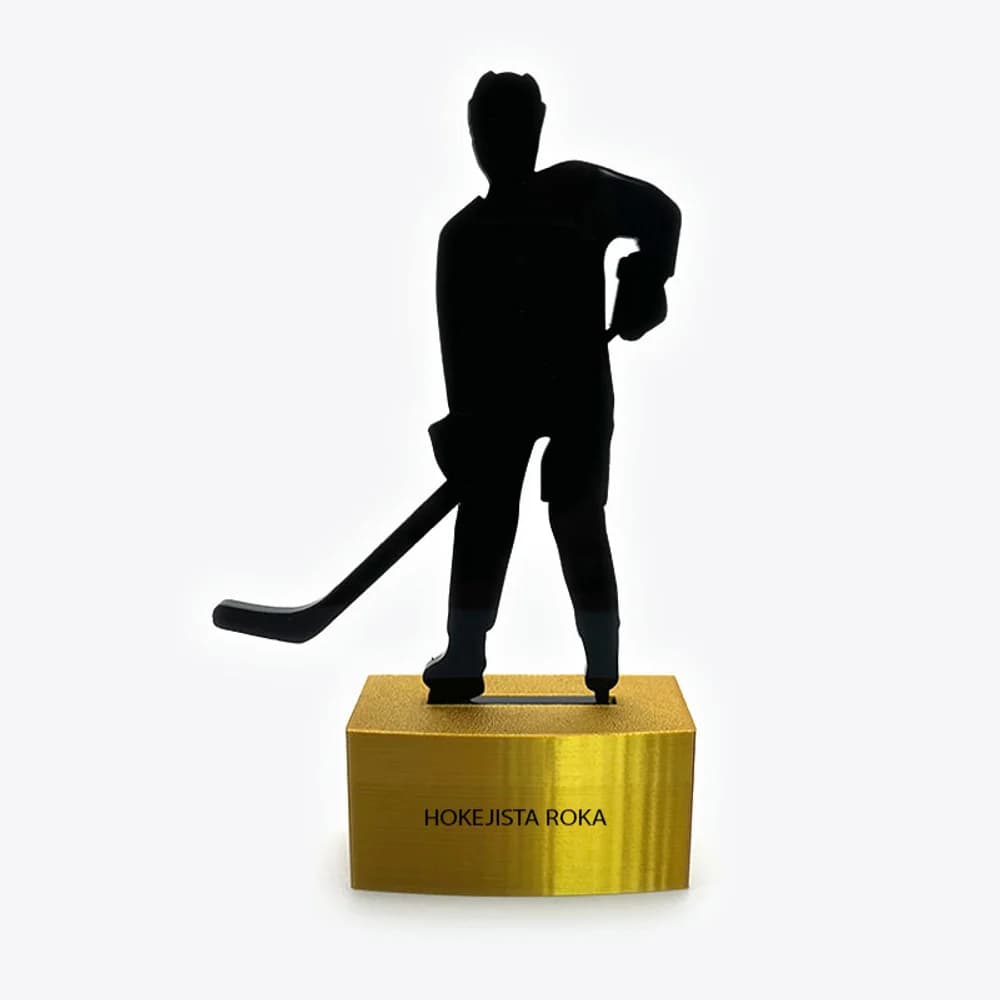 Športové trofeje - hokej